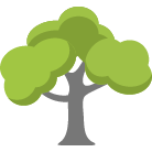 Dubuque Tree Removal